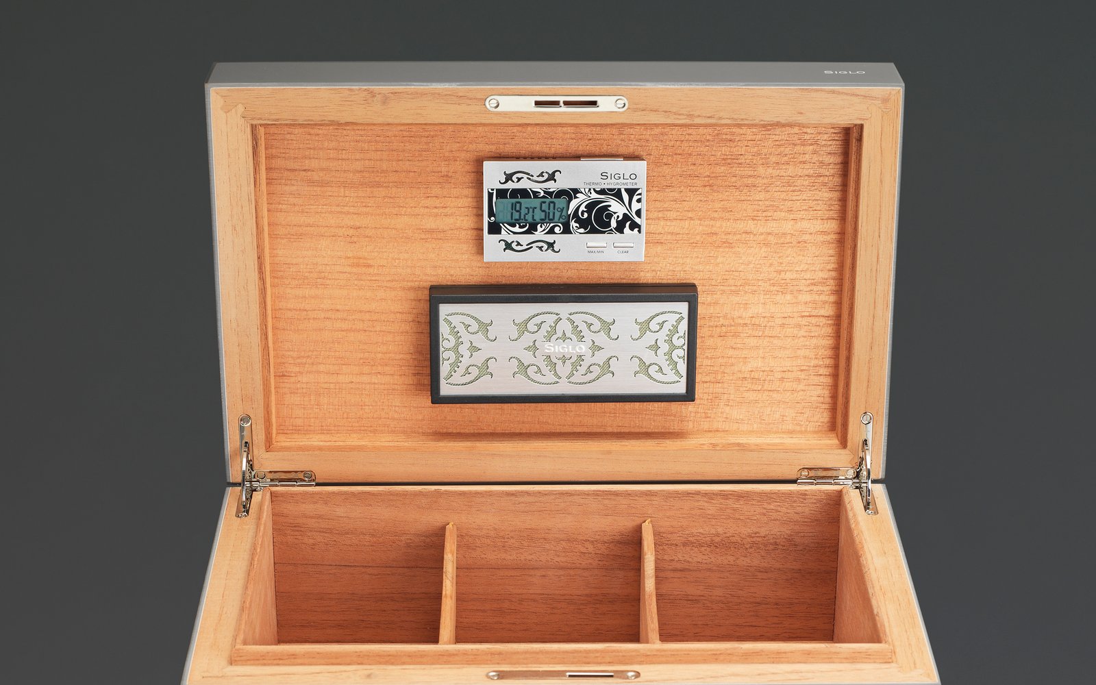 Dog In Black Humidor
